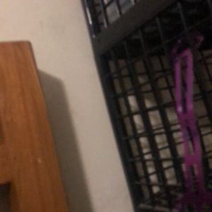 Meet your Posher, Cameron